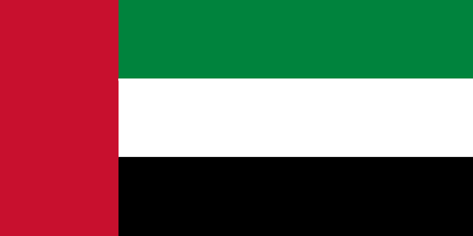 UAE flag